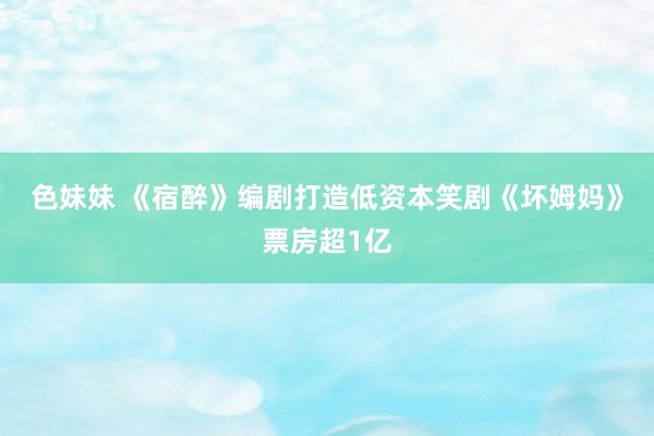 色妹妹 《宿醉》编剧打造低资本笑剧《坏姆妈》票房超1亿