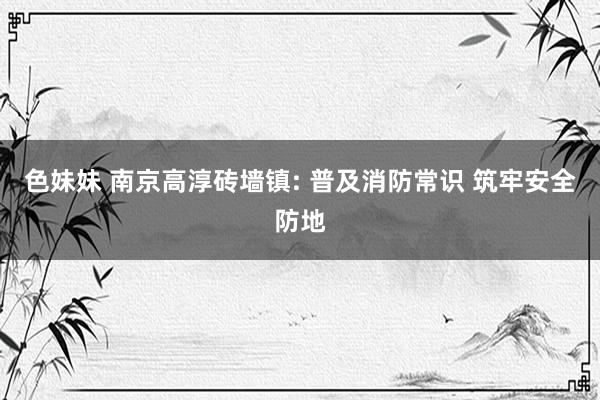 色妹妹 南京高淳砖墙镇: 普及消防常识 筑牢安全防地