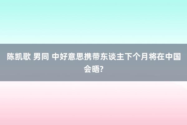 陈凯歌 男同 中好意思携带东谈主下个月将在中国会晤?