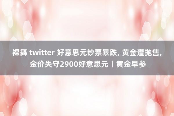 裸舞 twitter 好意思元钞票暴跌， 黄金遭抛售， 金价失守2900好意思元丨黄金早参